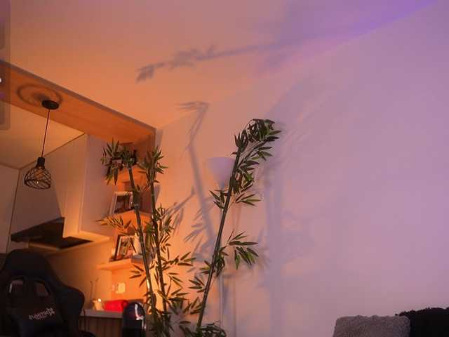 JessicaPratt's BongaCams show and profile