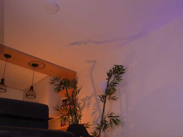 JessicaPratt's BongaCams show and profile