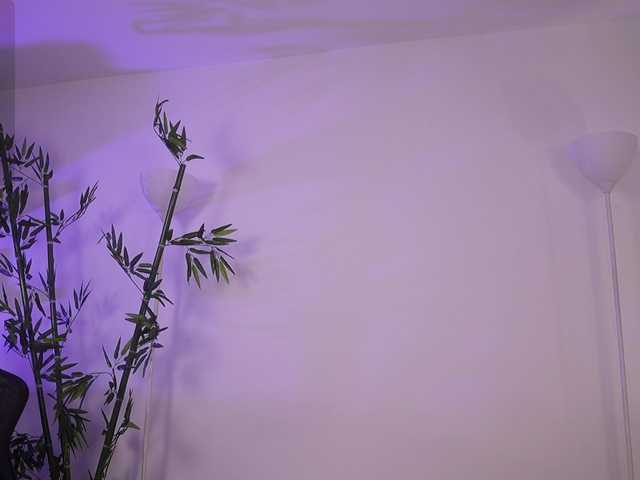 Preview of jessicapratt