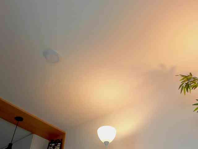 JessicaPratt webcam