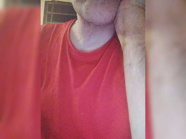 play-Bear
