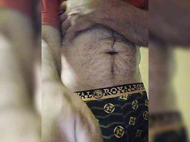 play-Bear Live Webcam on BongaCams