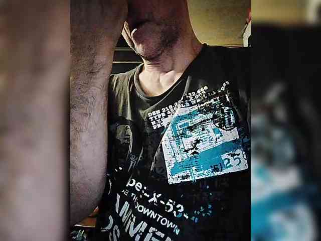 play-Bear Live Webcam on {site_name}