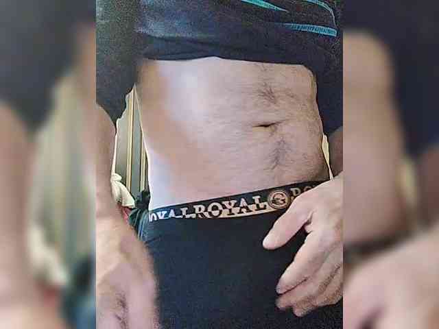 play-Bear Live Webcam on BongaCams