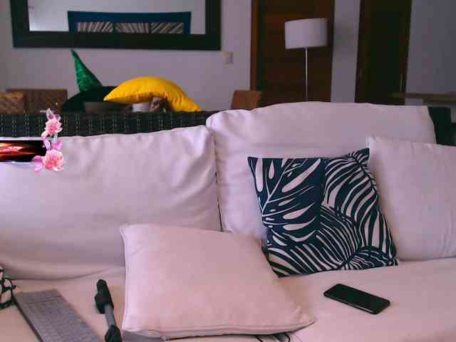 pink2019 webcam