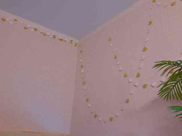 -Goldy- webcam