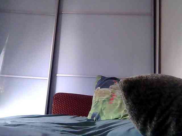 lily133 webcam
