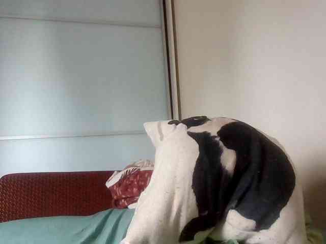 lily133 webcam