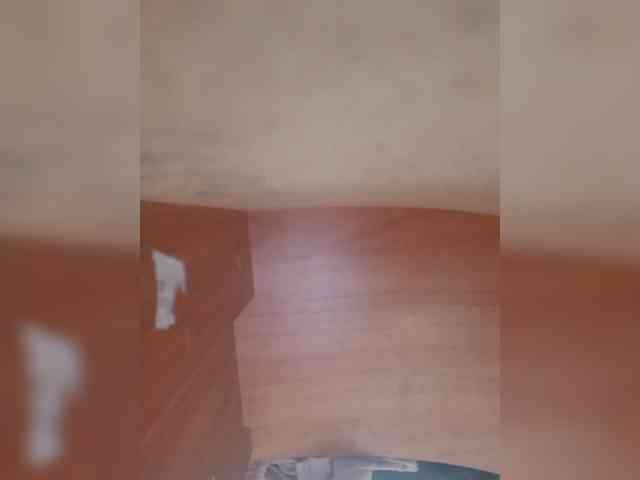 OlgaSaphire webcam