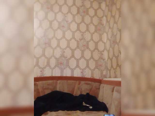 Preview of calibriya