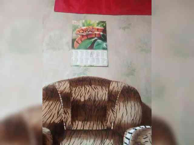 Calibriya webcam
