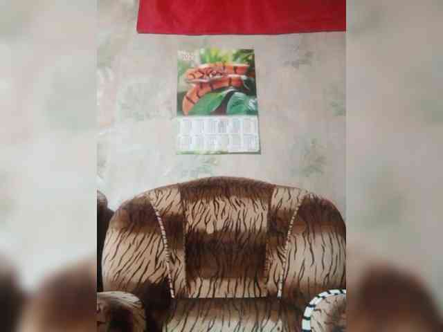 Calibriya webcam