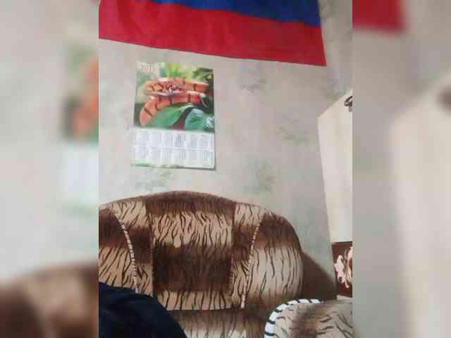 Calibriya webcam
