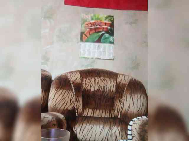 Calibriya webcam