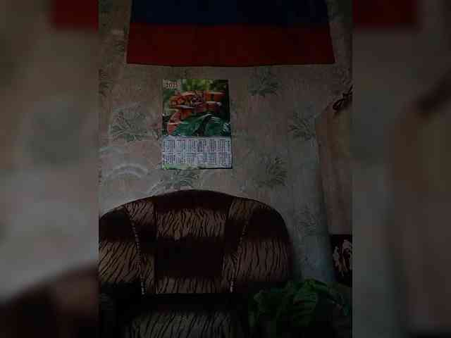 Calibriya webcam