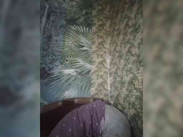 Calibriya webcam