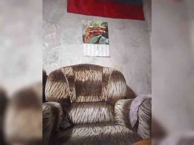 Calibriya webcam