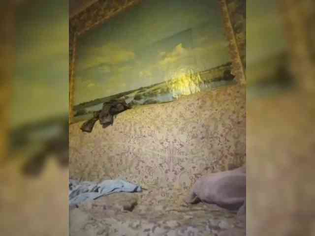 Calibriya webcam