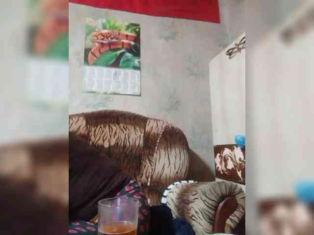 Calibriya webcam
