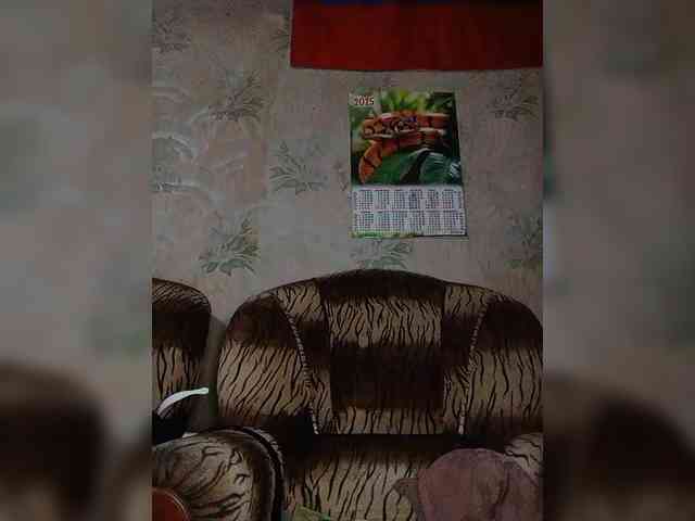 Calibriya webcam