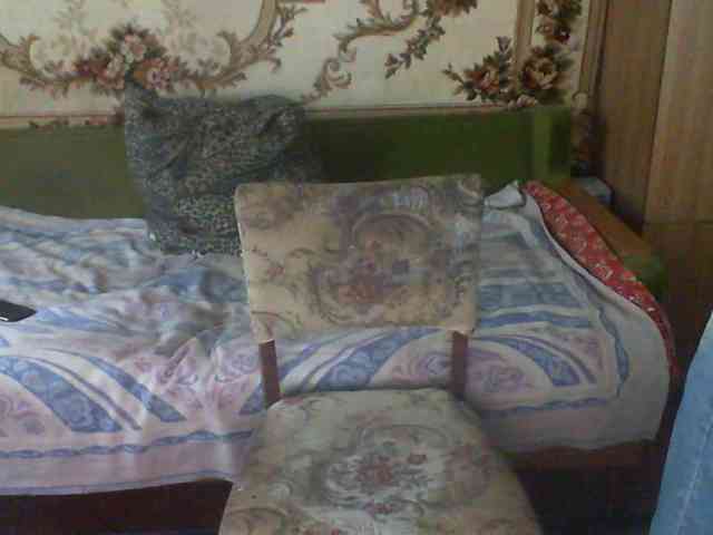 Viktorfghvbn5 Viktorfghvbn5