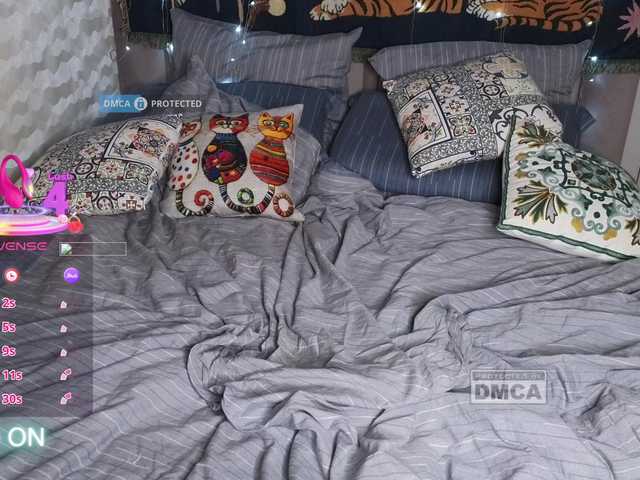 Profile and Statistics for dvenasti on BongaCams