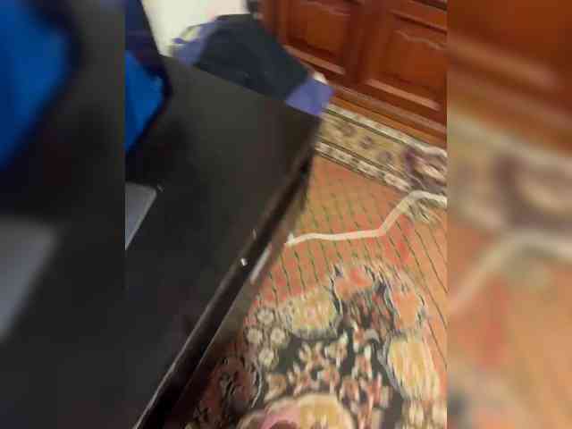 selennandbrya webcam
