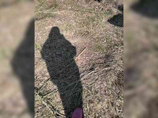 selennandbrya webcam