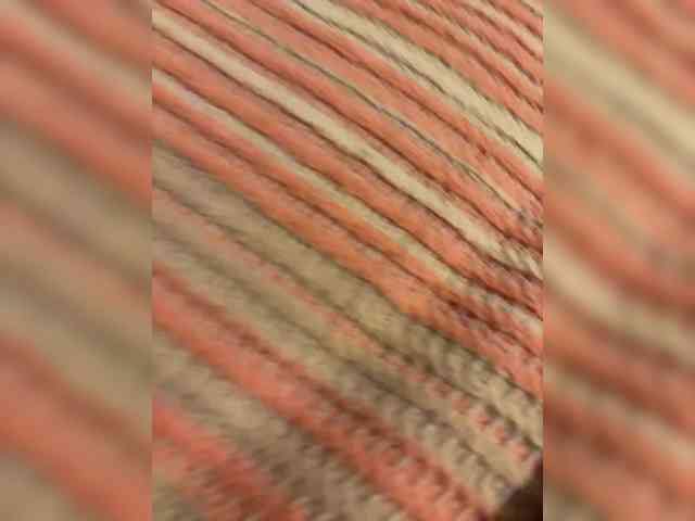 selennandbrya webcam