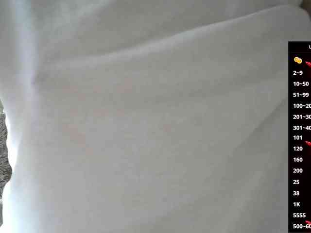 Keruoki webcam