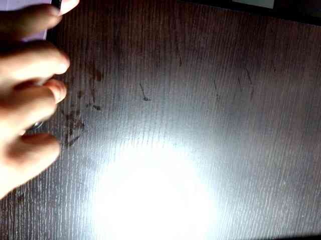 andrew1520 andrew1520