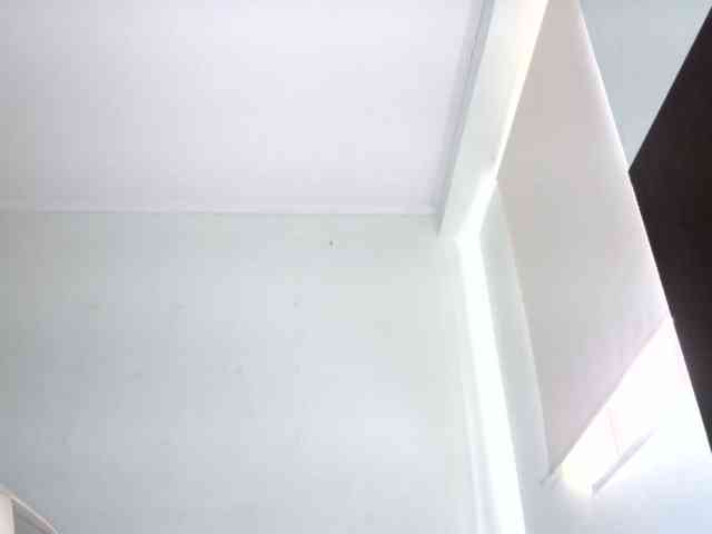 andrew1520 andrew1520