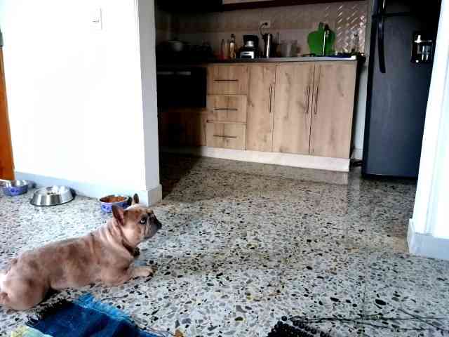 andrew1520 andrew1520