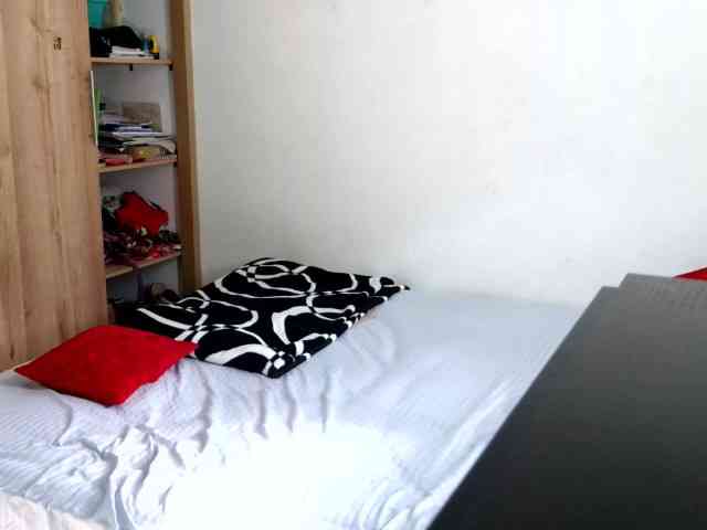 andrew1520 andrew1520