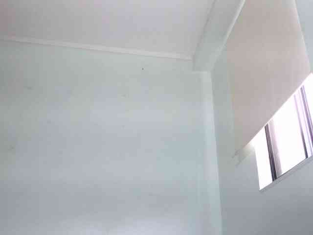 andrew1520 andrew1520