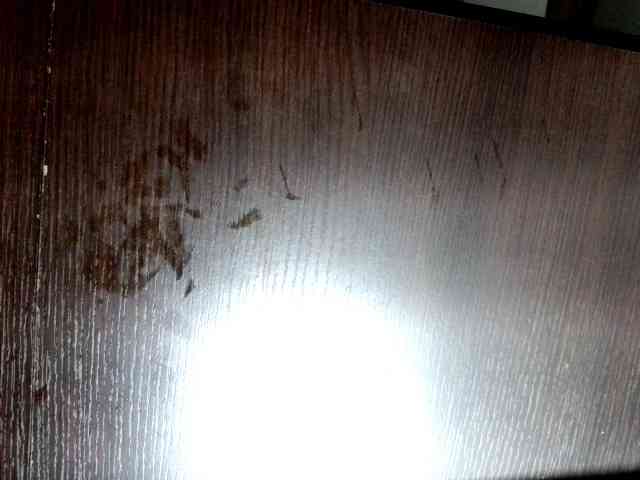 andrew1520 andrew1520