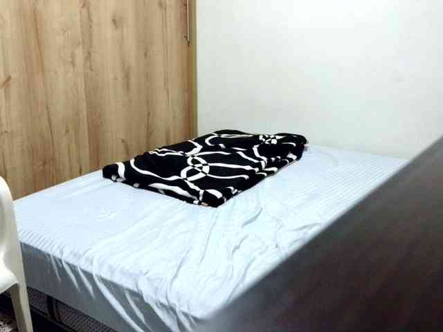 andrew1520 andrew1520