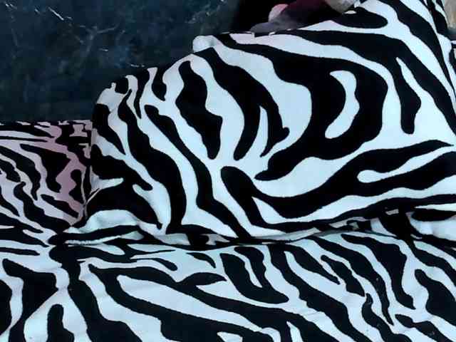 AmmandaDulley webcam