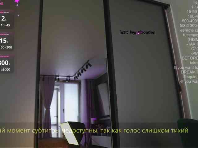 bongCinnamon webcam