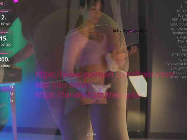 bongCinnamon webcam