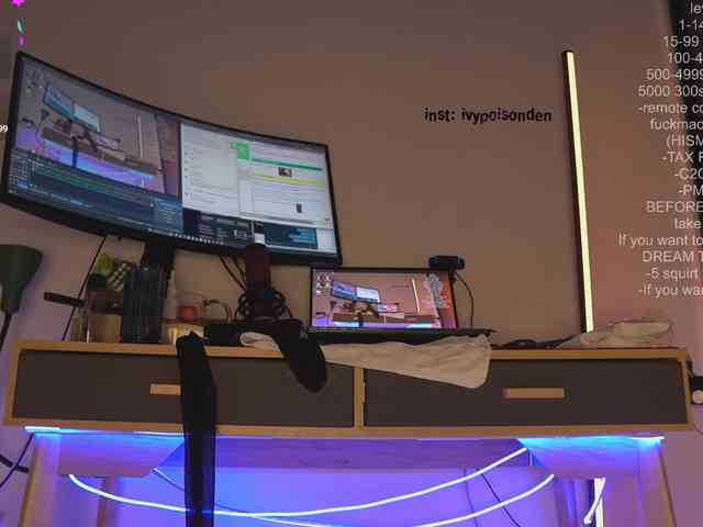 bongCinnamon webcam