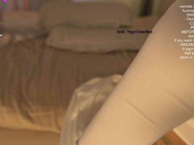 bongCinnamon webcam