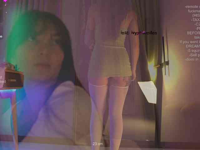 bongCinnamon webcam
