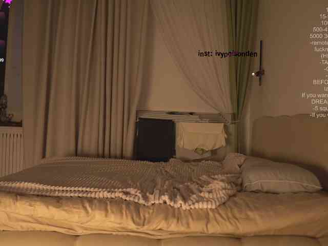 bongCinnamon webcam