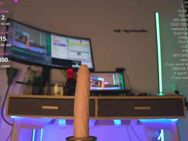 bongCinnamon webcam