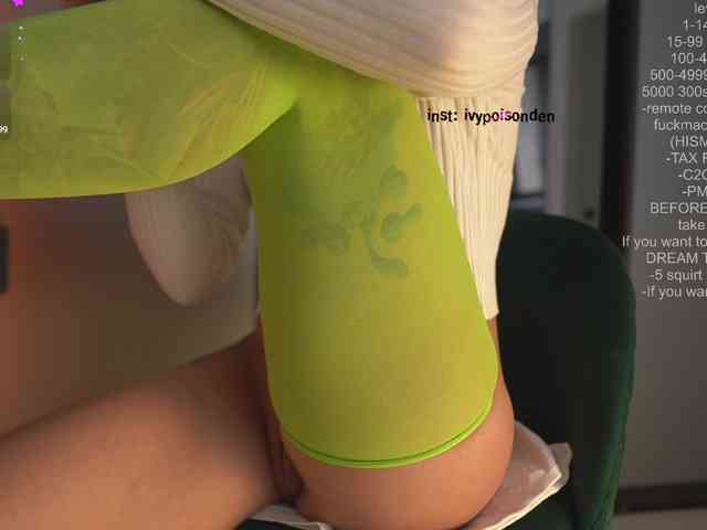bongCinnamon webcam