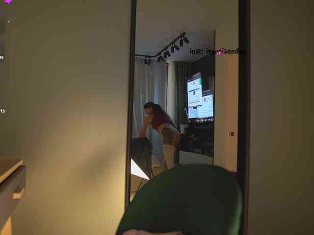 bongCinnamon webcam