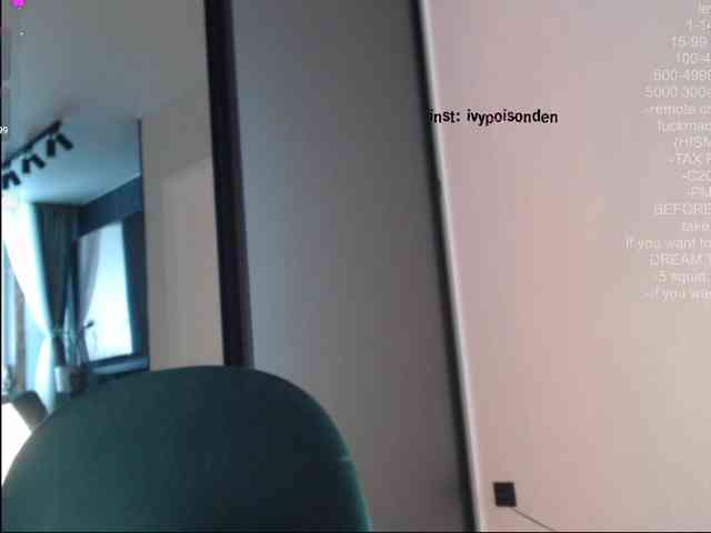 bongCinnamon webcam