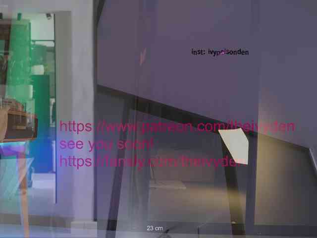 bongCinnamon webcam