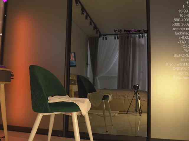 bongCinnamon webcam